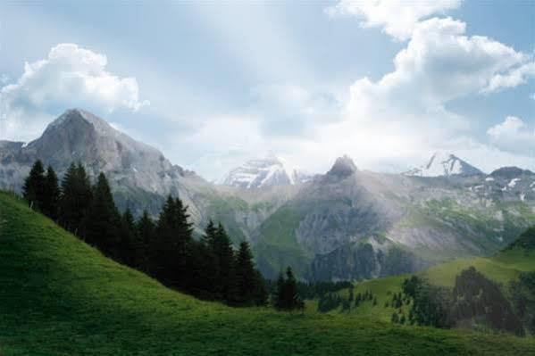 Adler Adelboden Otel Dış mekan fotoğraf